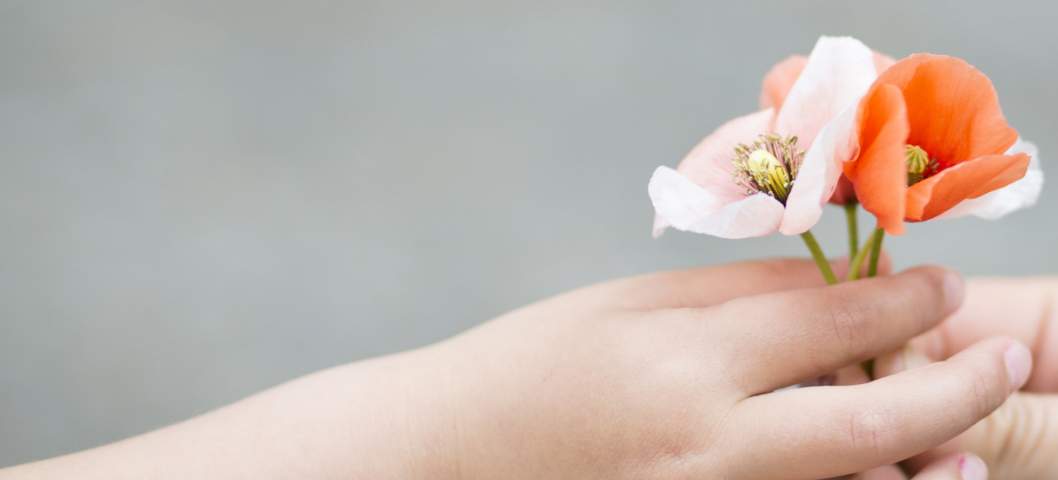 Parents hands handing poppy flowers